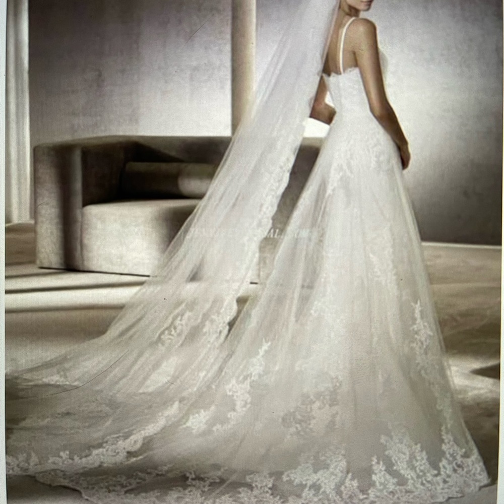 Pronovias petunia size 4 wedding dress and veil